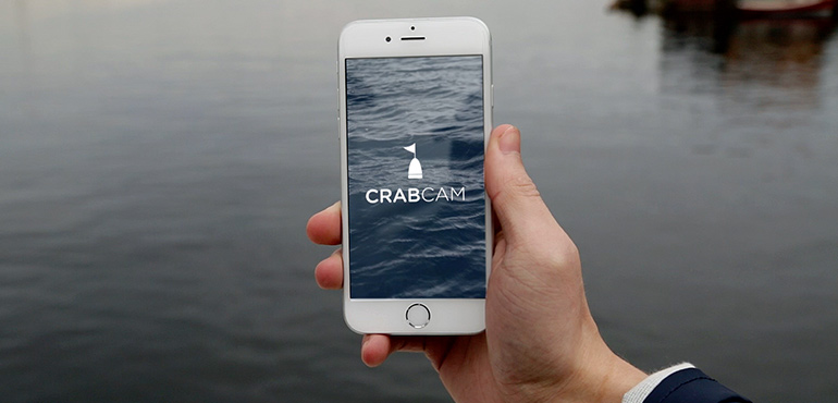 Crab Cam App